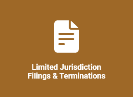 Limited Jurisdiction Filings & Terminations tile